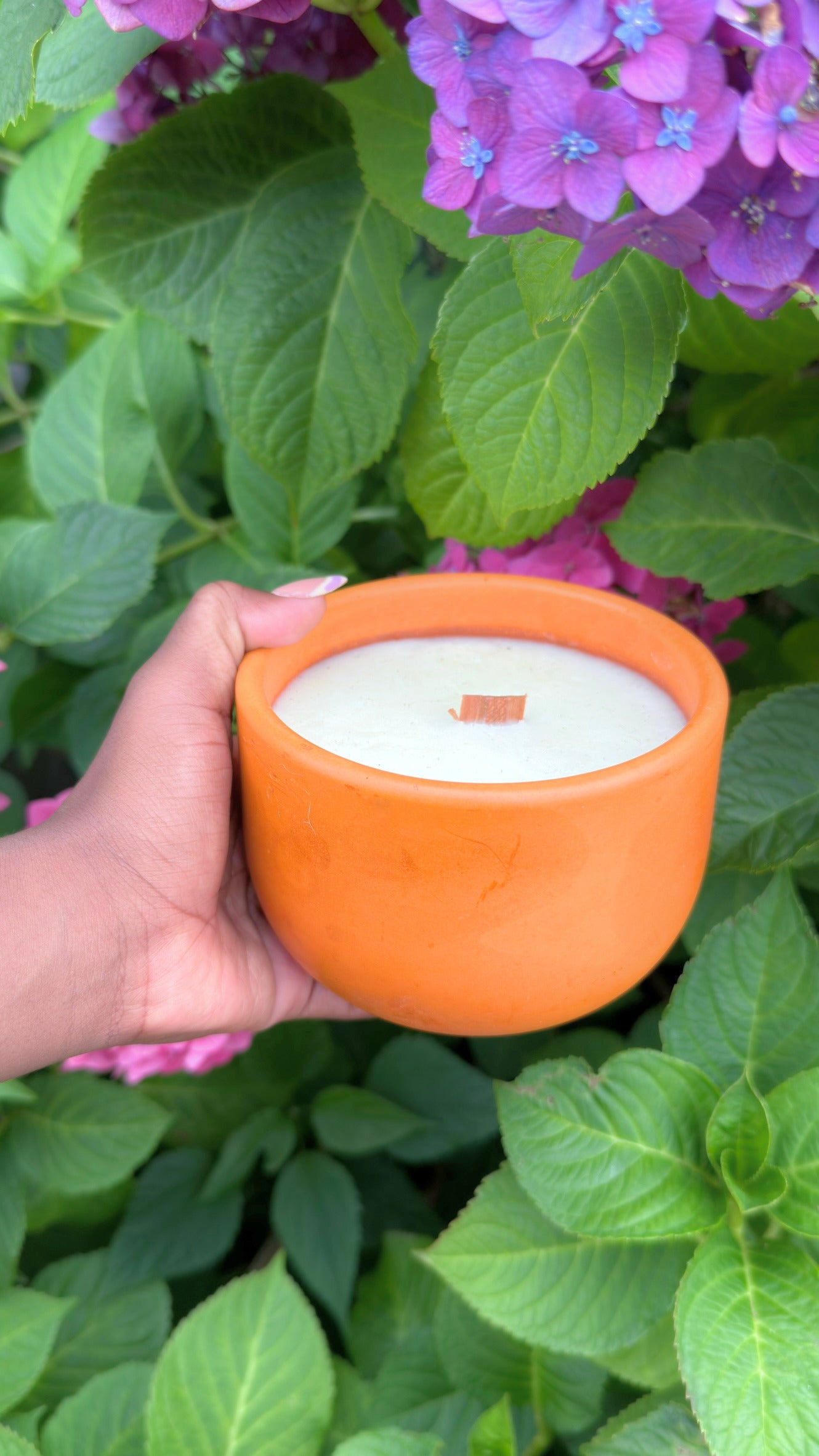 Garden Punch - HoneySuckle, Jasmine, White Orris & Sandalwood | Juicy, Playful, Full of Color