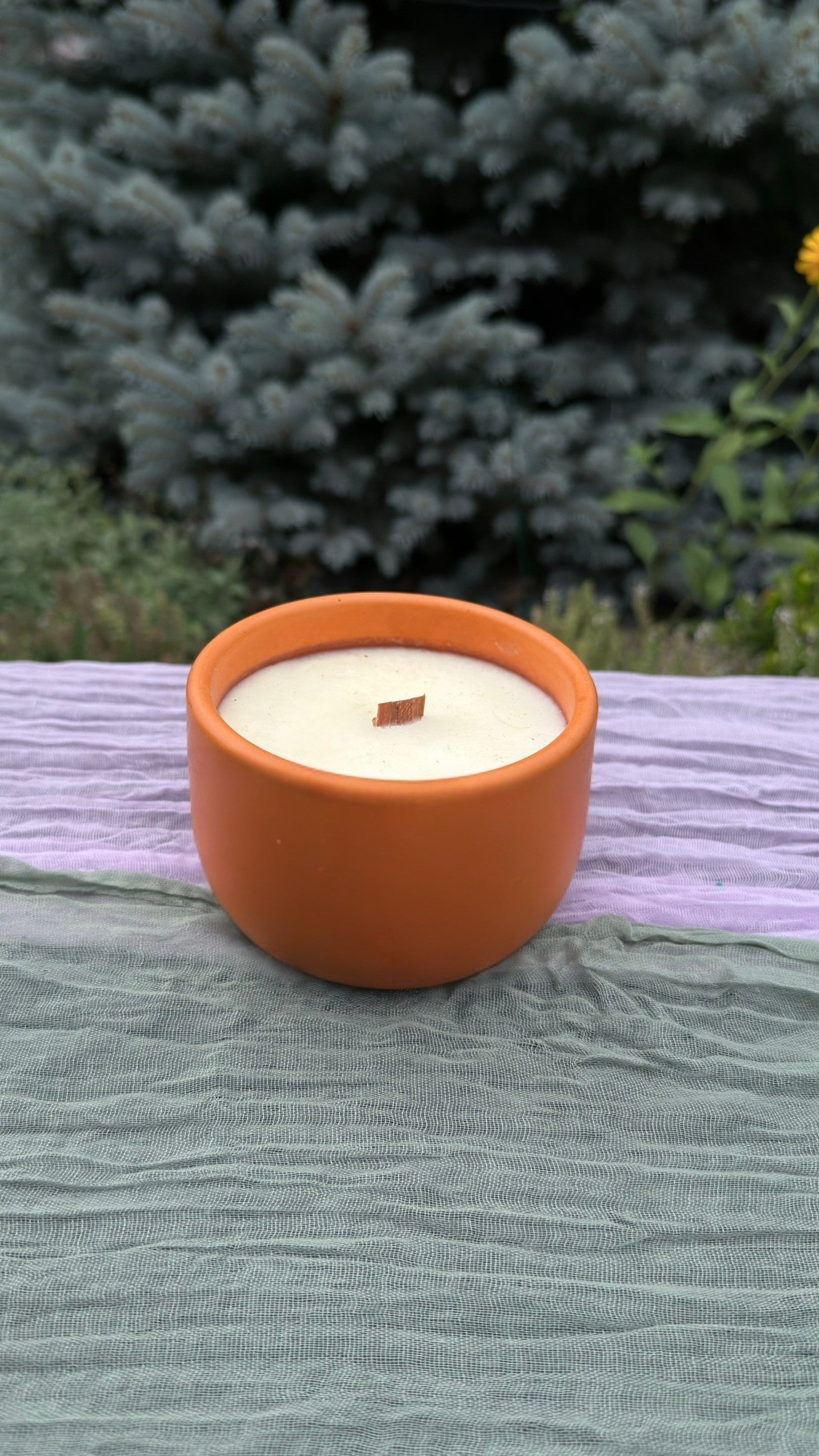 Garden Punch - HoneySuckle, Jasmine, White Orris & Sandalwood | Juicy, Playful, Full of Color